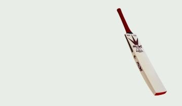 Bat